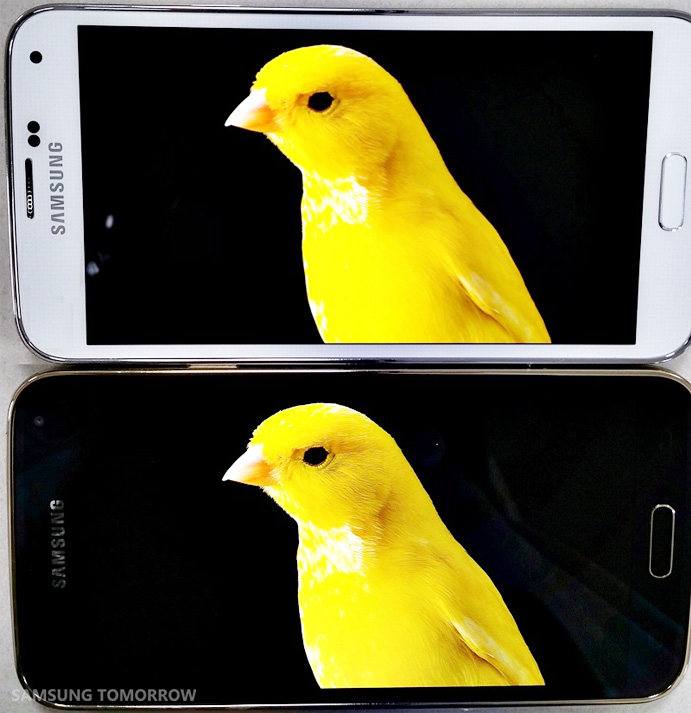 Ekran w Galaxy S5 kontra ekran w Galaxy S5 LTE-A